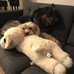 Meet your Posher, Tiffany